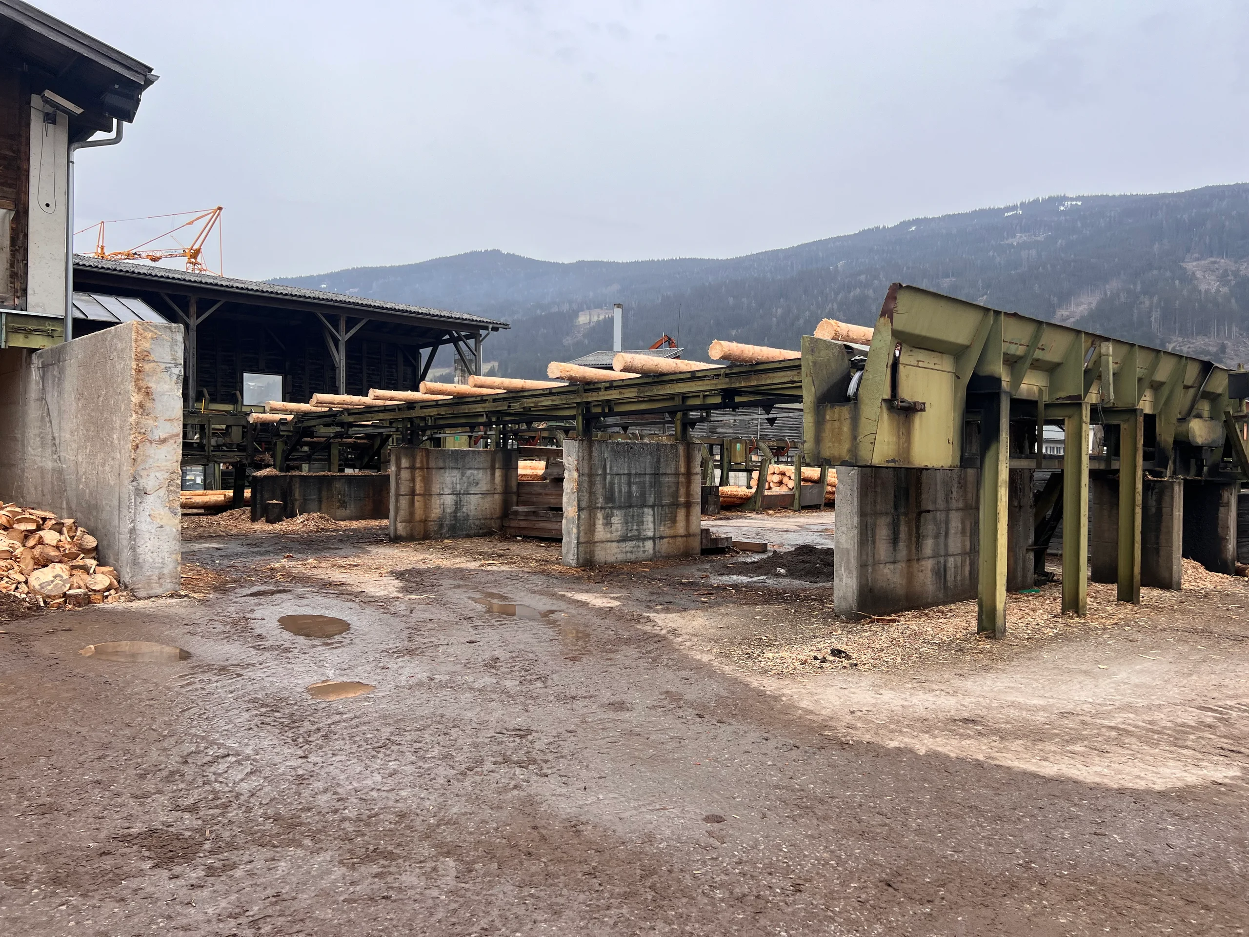 Rundholz Sortieranlage mit Entrindung - Bild 18