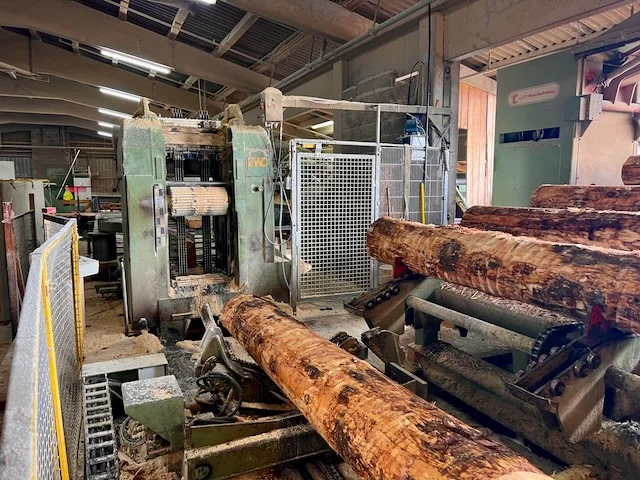 Gebrauchtes Hochleistungsgatter EWD GDZE - Bild 4